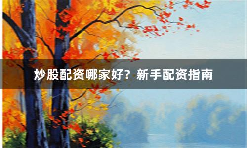 炒股配资哪家好？新手配资指南