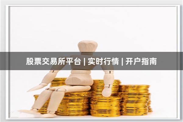 股票交易所平台 | 实时行情 | 开户指南