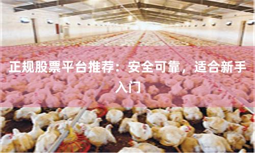 正规股票平台推荐：安全可靠，适合新手入门