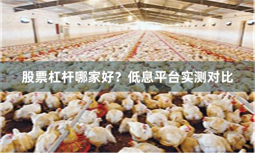 股票杠杆哪家好？低息平台实测对比